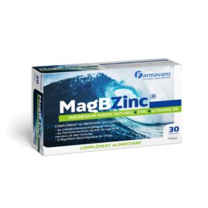 Farmavans MagBZinc Boite de 30 Gélules