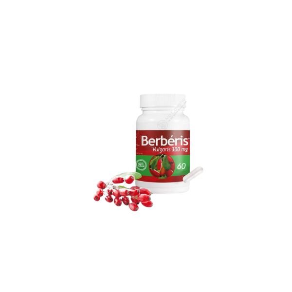 PHYTO D'ART Berbéris Vulgaris 300mg 60Gél